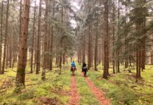 Vereins-Orientierungsritt am 04.10.2025 – fällt aus-