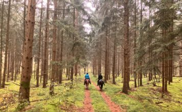 Vereins-Orientierungsritt am 04.10.2025 – fällt aus-