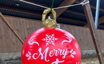 Bambini Tag Weihnachts-Trail