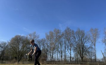 Yoga Kurs