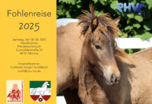 Fohlenreise 2025