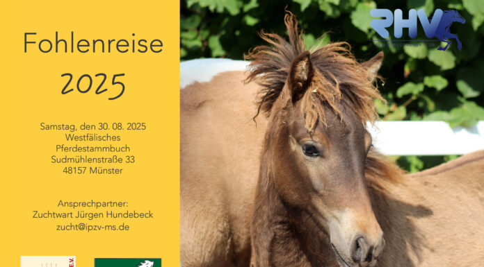 Fohlenreise 2025
