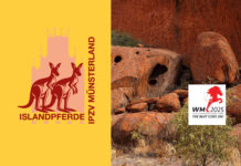 IPZV Münsterland international