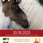 Fohlenreise2025