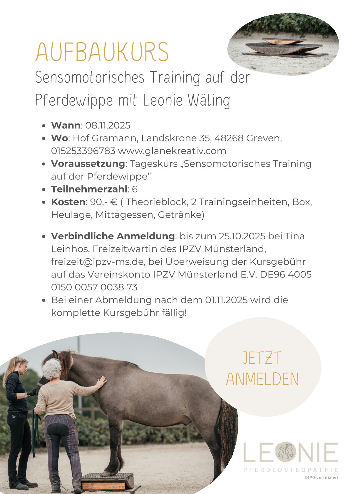 Aufbaukurs Pferdewippe