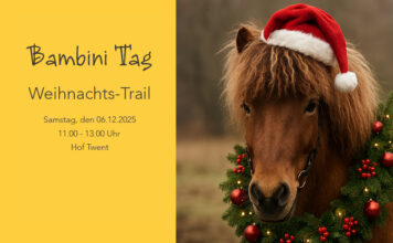 Bambini Tag Weihnachts-Trail