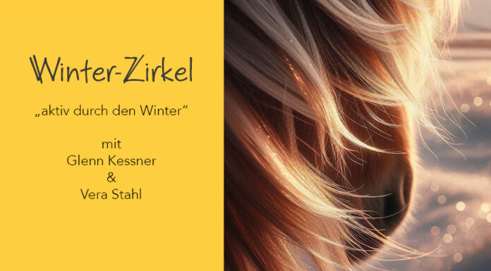 Winter-Zirkel