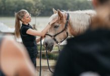 Ein Platz frei geworden: Gezielt Dehnen, Massieren & Mobilisieren am 07.02.2026