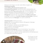 Wellness_ReiterInnen