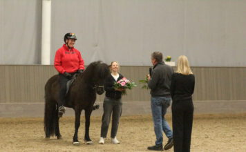 Hengstschau: Zucht, Sport und Perspektiven