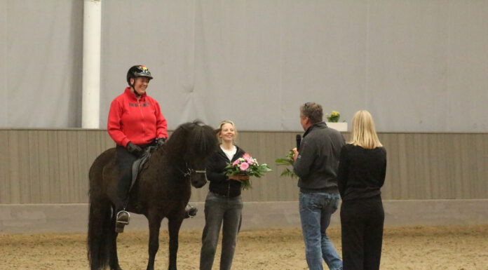 Hengstschau: Zucht, Sport und Perspektiven